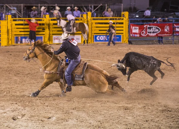 Helldorado days rodeo — Stock Photo, Image