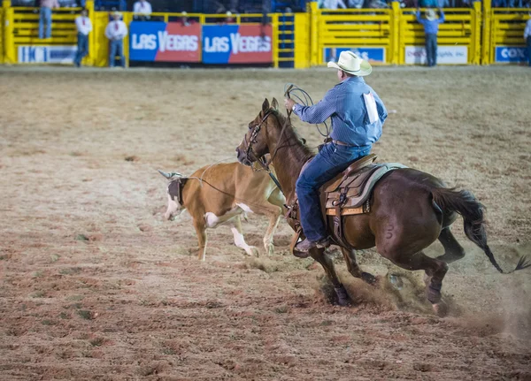 Giorni di Helldorado rodeo — Foto Stock