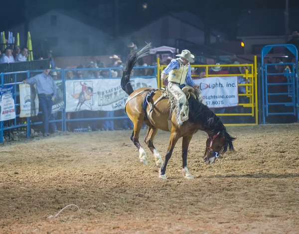 Helldorado days rodeo — Stock Photo, Image