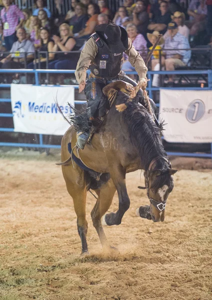 Helldorado days rodeo — Stock Photo, Image