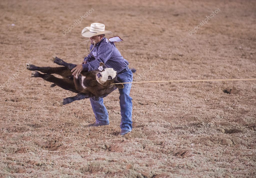 Gay rodeo in los angeles