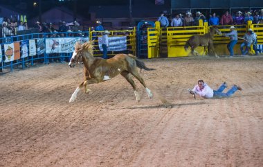 Helldorado gün rodeo
