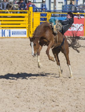 Helldorado gün rodeo