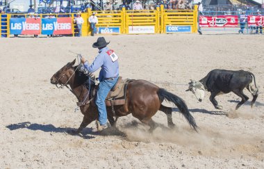 Helldorado gün rodeo