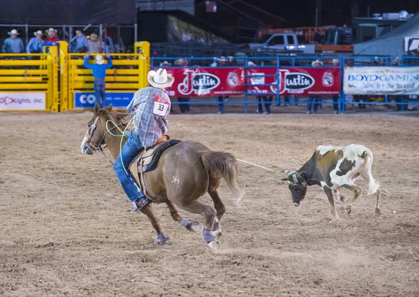 Helldorado dagen rodeo — Stockfoto