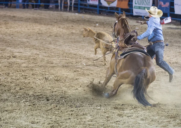 Helldorado days rodeo — Stock Photo, Image