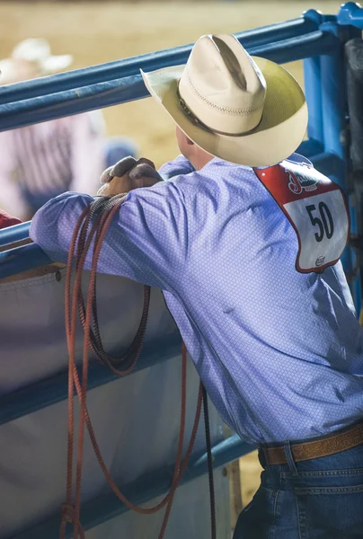 Helldorado dagar rodeo — Stockfoto