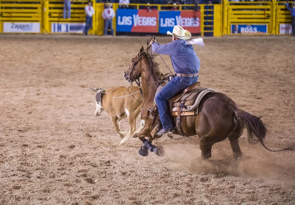 Helldorado days rodeo — Stock Photo, Image