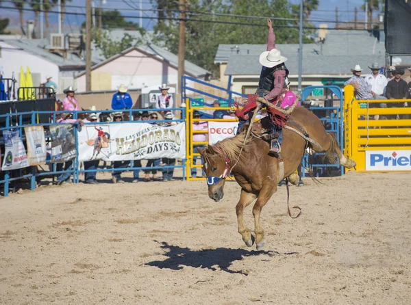 Helldorado dní rodeo — Stock fotografie
