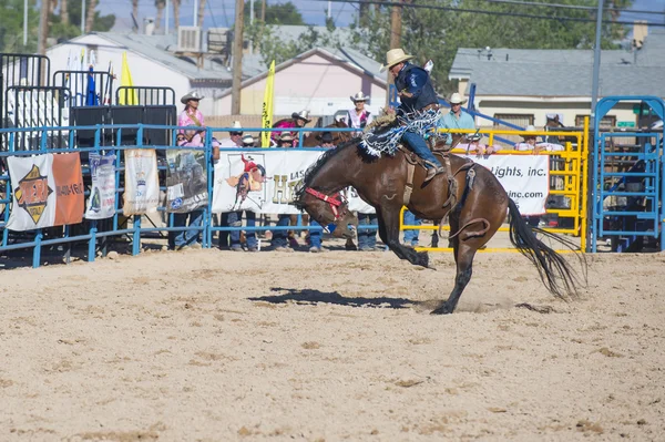 Helldorado days rodeo — Stock Photo, Image