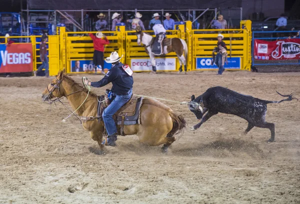 Helldorado dagen rodeo — Stockfoto