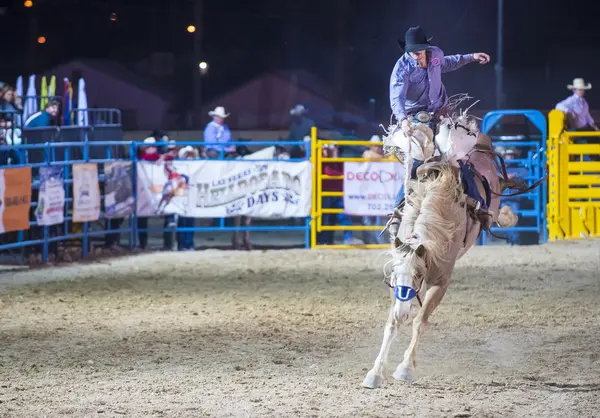 Helldorado dagar rodeo — Stockfoto