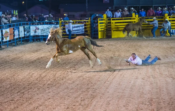 Helldorado días rodeo — Foto de Stock