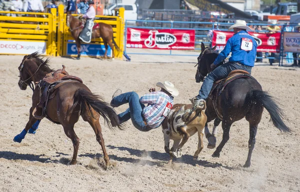 Giorni di Helldorado rodeo — Foto Stock