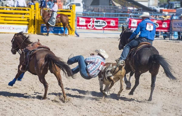 Helldorado days rodeo — Stock Photo, Image