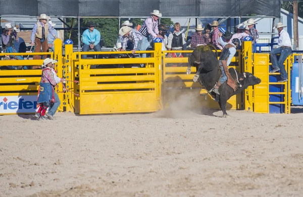 Helldorado dni rodeo — Zdjęcie stockowe