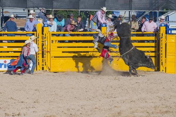 Giorni di Helldorado rodeo — Foto Stock