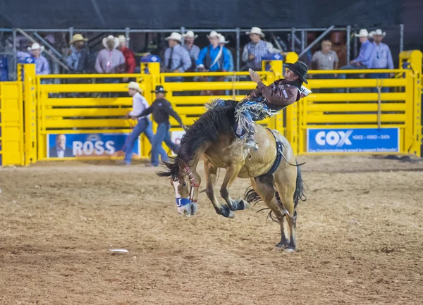 Höllendorado-Rodeo — Stockfoto