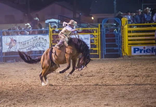 Helldorado dagen rodeo — Stockfoto