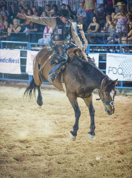 Helldorado days rodeo — Stock Photo, Image