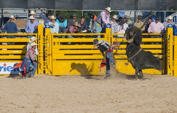 Helldorado dni rodeo — Zdjęcie stockowe