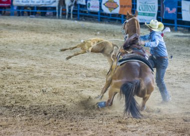 Helldorado gün rodeo