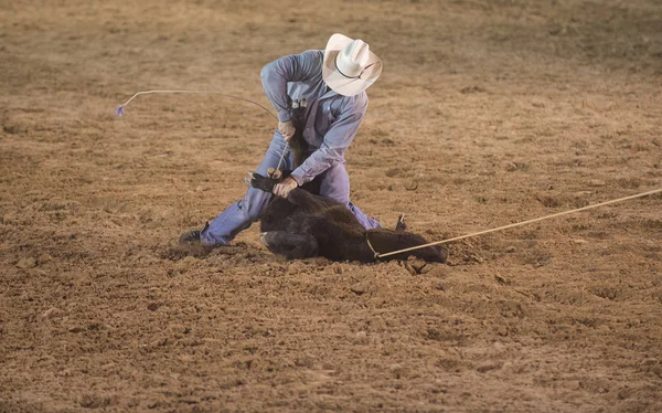 Helldorado days rodeo — Stock Photo, Image