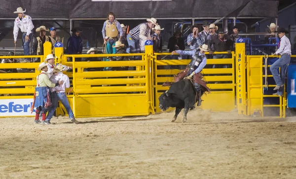 Helldorado days rodeo — Stock Photo, Image