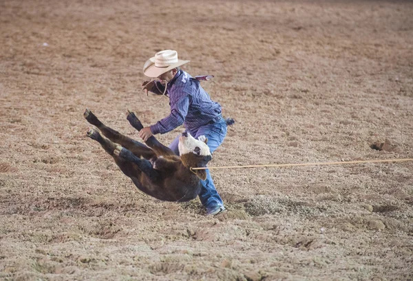 Helldorado days rodeo — Stock Photo, Image