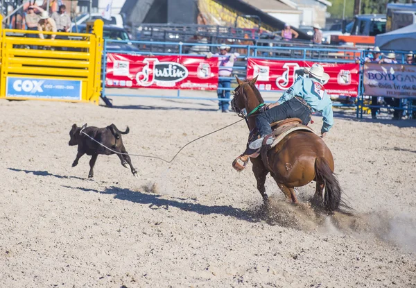 Helldorado días rodeo — Foto de Stock