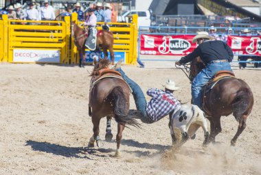 Helldorado gün rodeo
