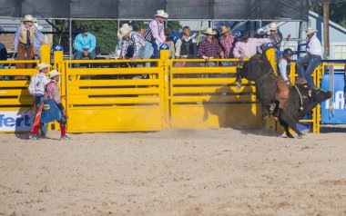 Helldorado gün rodeo