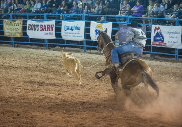 Helldorado dagar rodeo — Stockfoto