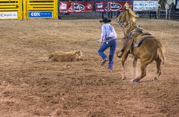 Giorni di Helldorado rodeo — Foto Stock