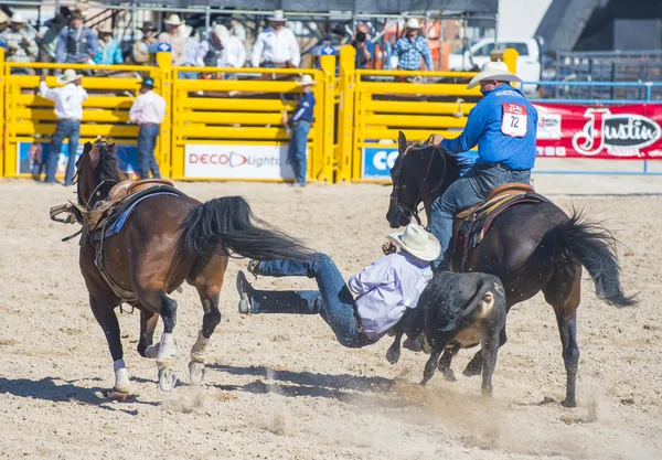 Helldorado dni rodeo — Zdjęcie stockowe