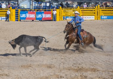 Helldorado gün rodeo
