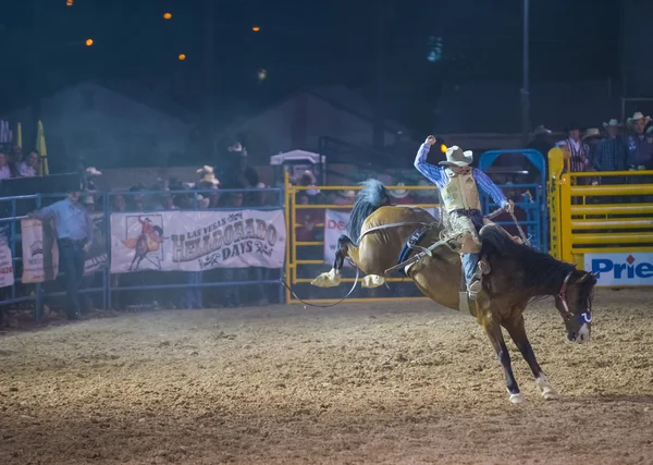 Helldorado dagar rodeo — Stockfoto