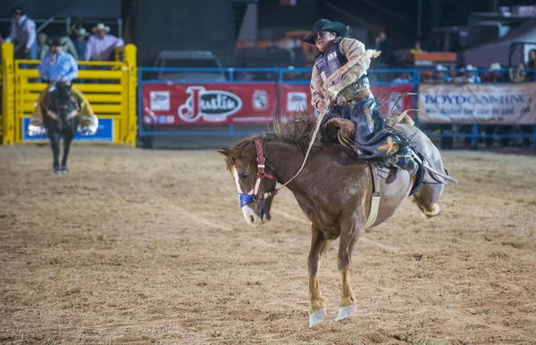 Helldorado dagar rodeo — Stockfoto