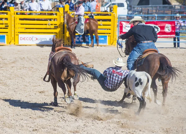 Giorni di Helldorado rodeo — Foto Stock