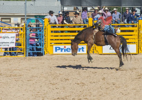 Helldorado days rodeo — Stock Photo, Image