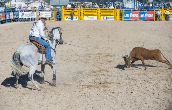 Helldorado days rodeo — Stock Photo, Image