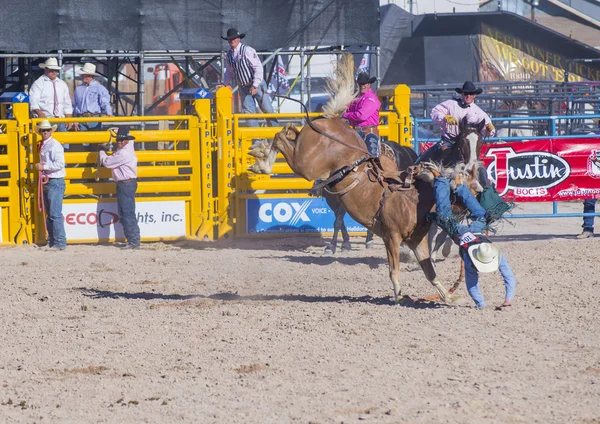 Helldorado days rodeo — Stock Photo, Image