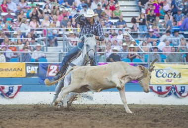 Reno Rodeo