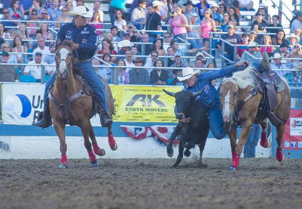 Rodeo de Reno — Foto de Stock