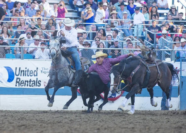 Rodeio de Reno — Fotografia de Stock