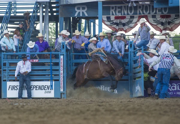 Rodeo de Reno — Foto de Stock