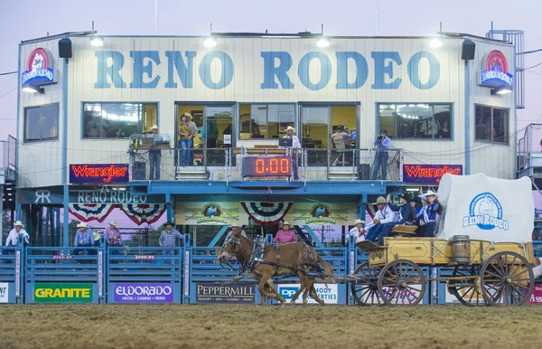 Reno Rodeo — Stock Photo, Image