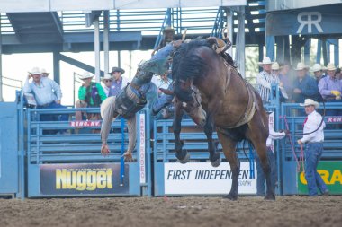 Reno Rodeo