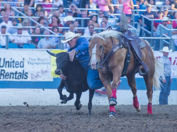 Rodeo de Reno —  Fotos de Stock