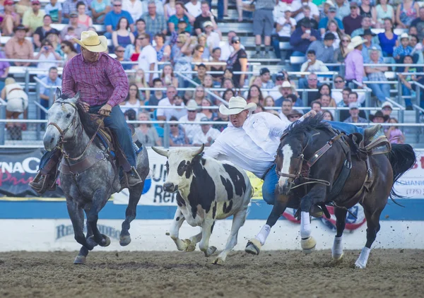 Rodeo de Reno —  Fotos de Stock